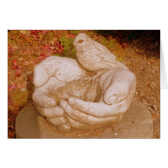 Gentillesse à tous (Devant horizontal)