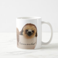 "Gentillesse tasse de paresse dans cuvette"