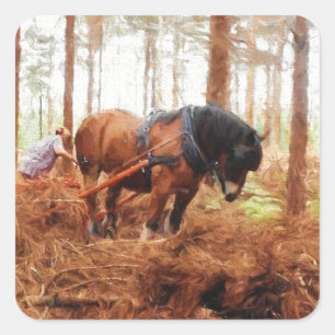 Gentle Giant - Draft Horse Hauling Logs in Forest Vierkante Sticker