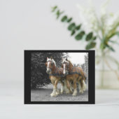 Gentle Giants briefkaart (Staand voorkant)