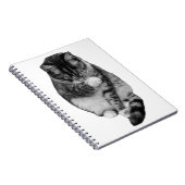 Gentle Hush Journal (Côté Droit)