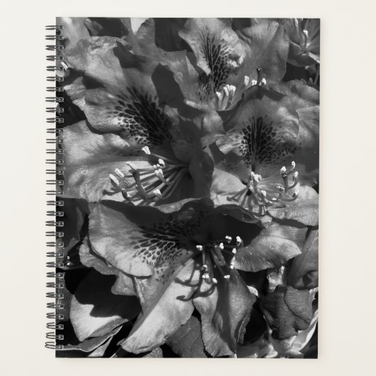 Gentle Lie Planner (Voorkant)