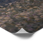 Gentle Meadow | Art équestre | Affiche (Coin)