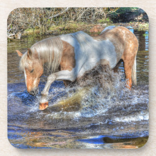 Gentle Palomino Pinto Stallion Speling in Pond Drankjes Onderzetter