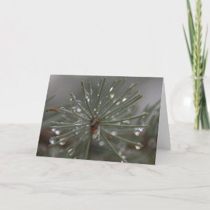 Gentle Rain Pine Kaart