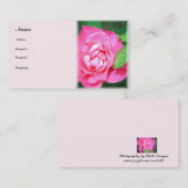 Gentle Rose - visitekaartje (Voorkant / Achterkant)