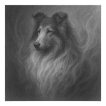 Gentle Soul — Collie Portret door GeoWild Designs