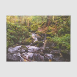 Gentle Waterfall Woodland Brook Tissuepapier