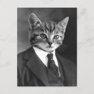 Gentleman Cat #1 Briefkaart