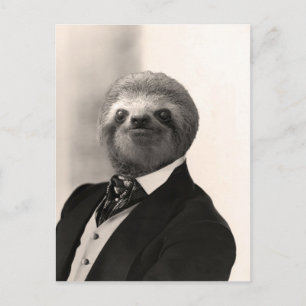 Gentleman Sloth #4 Briefkaart