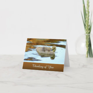Gently Gosling - Penser à vous - Carte blanche