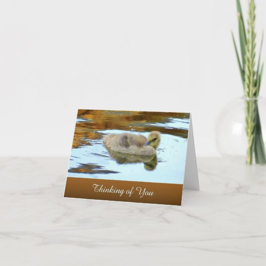 Gently Gosling - Penser à vous - Carte blanche (Devant)