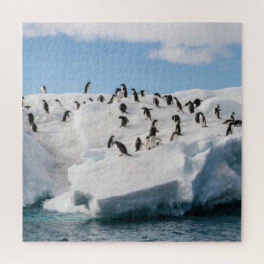 Gentoo Penguin Antarctica Iceberg Speeltijd Legpuzzel (Verticaal)