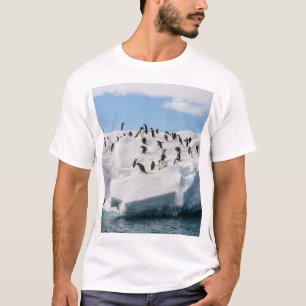 Gentoo Penguin Antarctica Iceberg Speeltijd T-shirt