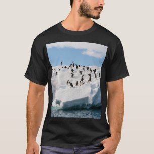 Gentoo Penguin Antarctica Iceberg Speeltijd T-shirt
