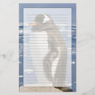 Gentoo Penguin Briefpapier