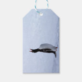 Gentoo penguin cadeaulabel (Voorkant)