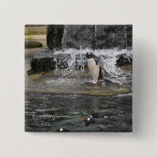 Gentoo Penguin & Friends Edinburgh Zoo Scotland Po Vierkante Button 5,1 Cm