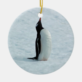 Gentoo Penguin in Antarctica Ornament