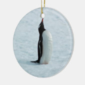 Gentoo Penguin in Antarctica Ornament (Links)