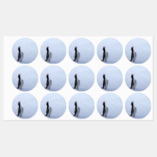 Gentoo penguin labels