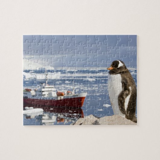Gentoo Penguin Legpuzzel (Horizontaal)