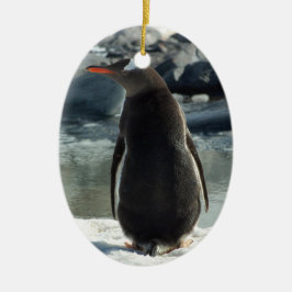Gentoo Penguin Ornament