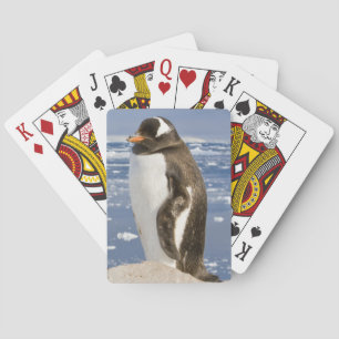 Gentoo Penguin Pokerkaarten