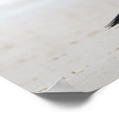 Gentoo Penguin Poster (Hoek)