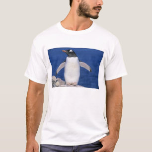 Gentoo Penguin Pygoscelis papua) Port T-shirt
