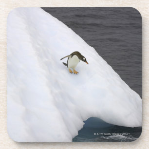 Gentoo penguin Pygoscelis papua), staande Drankjes Onderzetter