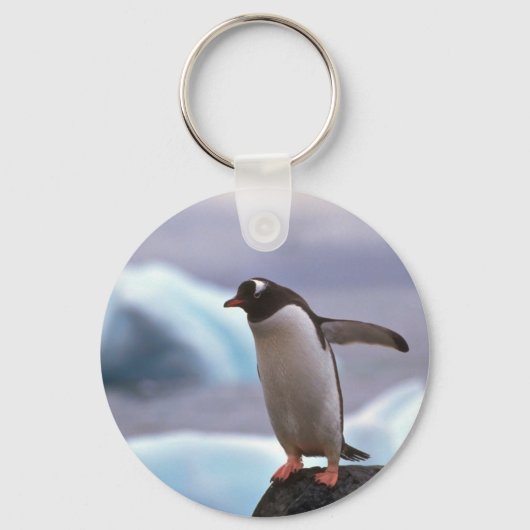 Gentoo Penguin Sleutelhanger (Voorkant)