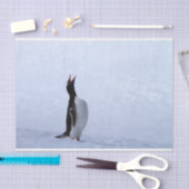 Gentoo penguin tissuepapier (Craft)