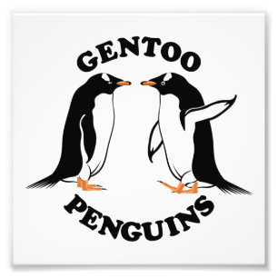 Gentoo Penguins Foto Afdruk