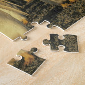 Gentoo Penguins (Pygoscelis papua), Falkland Legpuzzel (Zijkant)