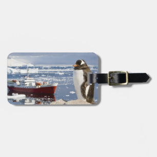 Gentoo-pinguïn Bagagelabel