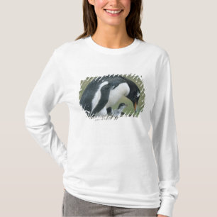 Gentoo Pinguïn, (Pygoscelis papua), Falkland T-shirt