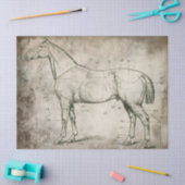 Genummerde paarden tissuepapier (Craft)