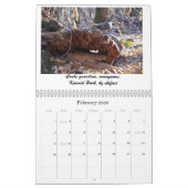 GeocacheAlaska Maandelijkse kalender 2012 (Feb 2026)