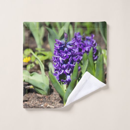 Géocinthe bleue au printemps (Gant de toilette)