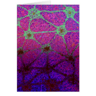 Geodesic Aqua Virus 2