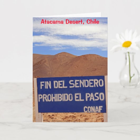 Géoglyphes d'Atacama, Carte Chili (Petite plante)