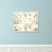 Geografische verdeling canvas afdruk (Insitu (Houten vloer))