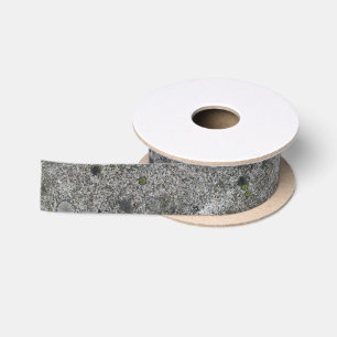 Geologie Gray Granite Rock met Moss Lint