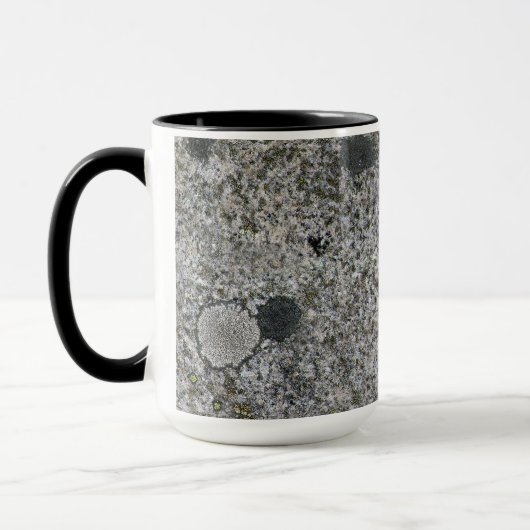 Geology Granite Rock Texture met Moss any Name Mok (Links)