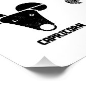 Geometric Indian Zodiac - 12 Vedic Signs Perfect Poster (Hoek)