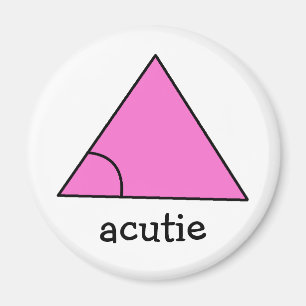 Geometrie Wiskunde leraar Gift driehoek Acute actu Magneet