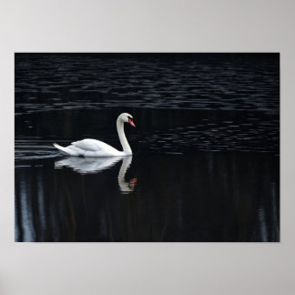 Geometrische Zwaan Art Print op Reflecterende Dark