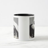 Geoorloofd konijn dat over het geoorloofde uiteind mok (Midden)