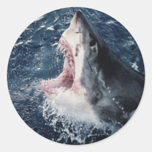 Geopende haaienbek van bovenaf ronde sticker